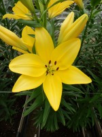 [5051 El Divo No02.JPG]